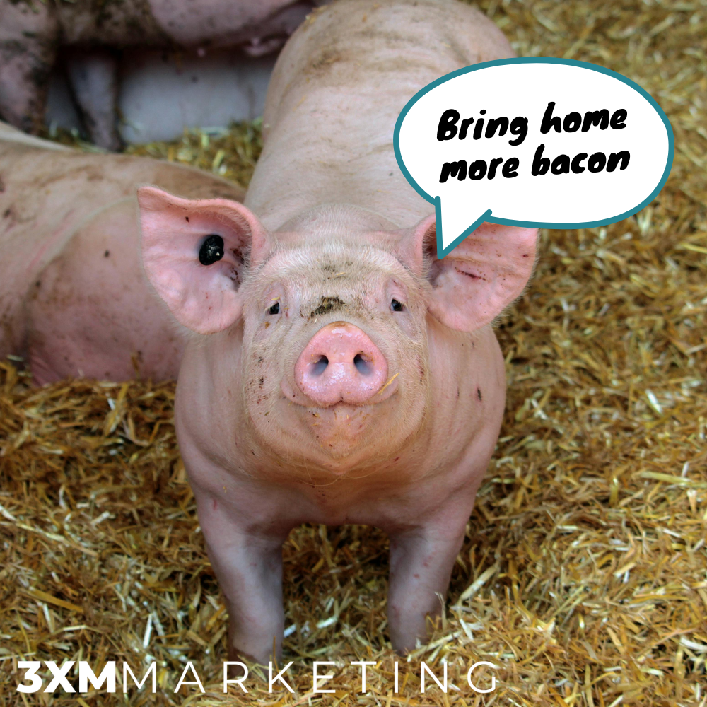 Bring home more bacon